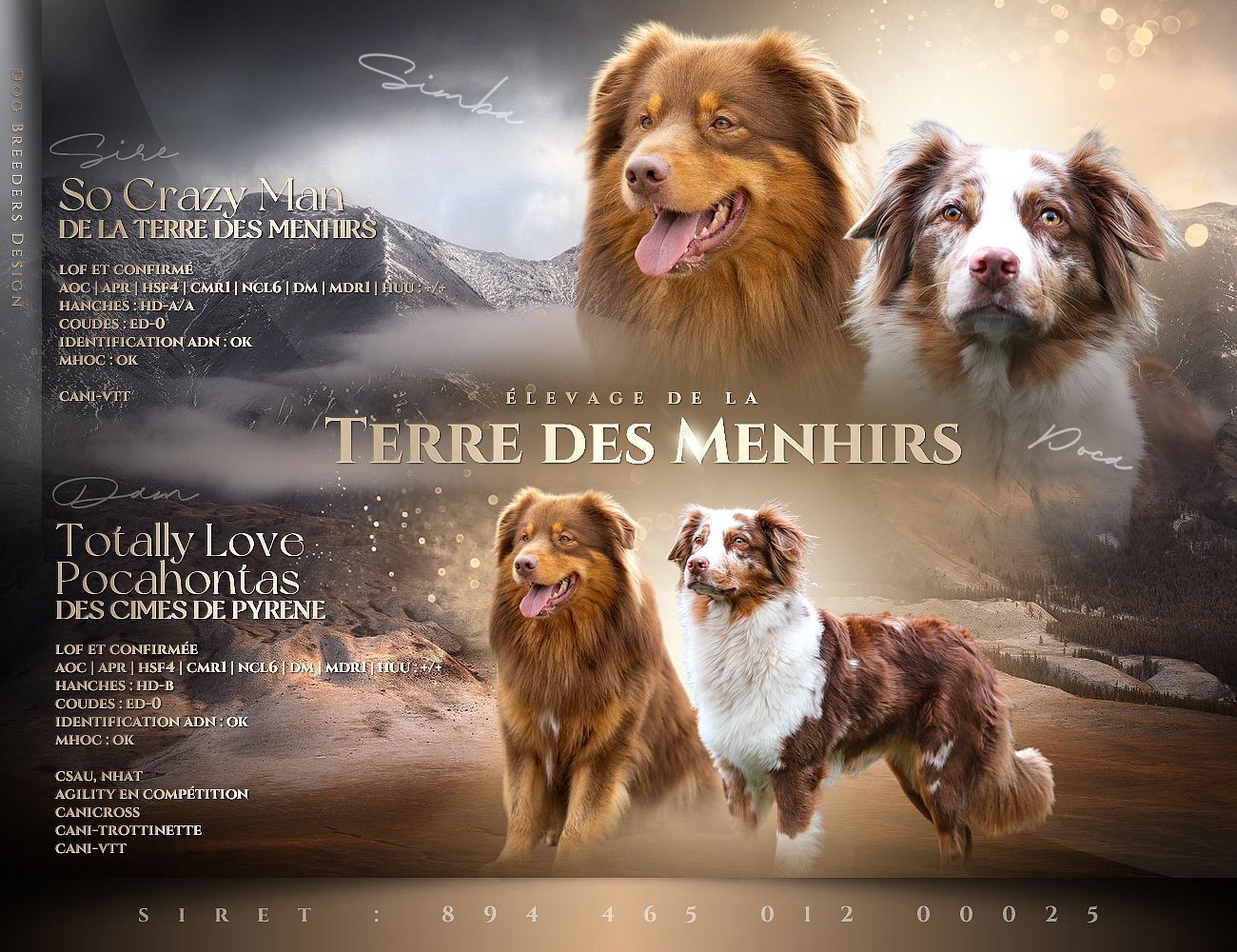 Montage photo de Poca et Simba. Image permettant de rejoindre la page sur la portée de Poca et Simba