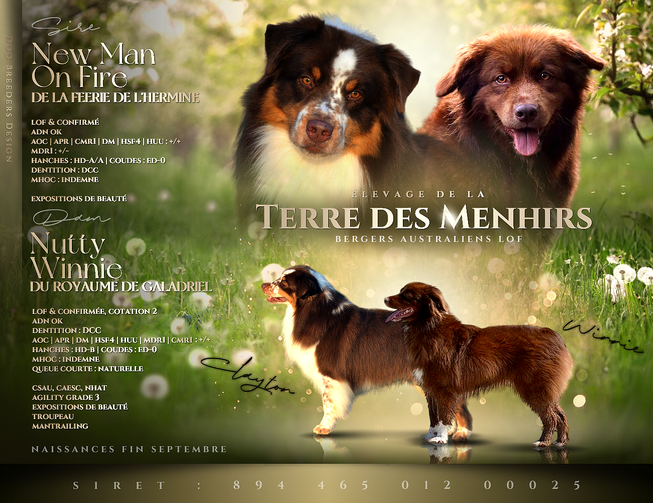 Montage photo de Winnie et Clayton. Image permettant de rejoindre la page sur la portée de Winnie et Clayton